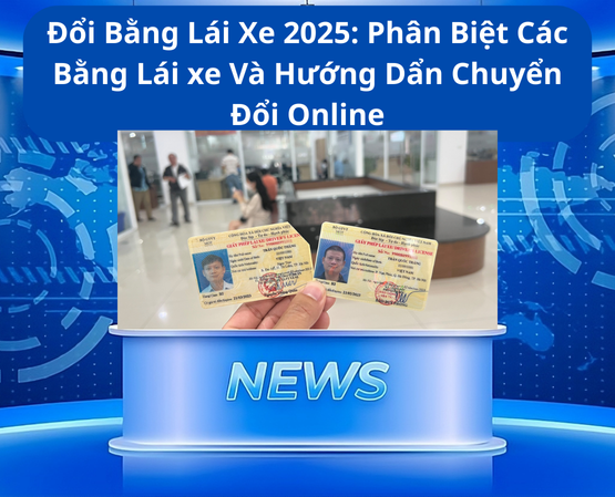 Đổi Bằng Lái Xe 2025: Phân Biệt Các Bằng Lái xe Và Hướng Dẩn Chuyển Đổi Online