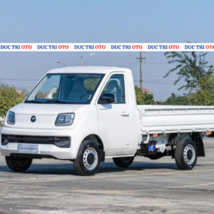 foton wonder