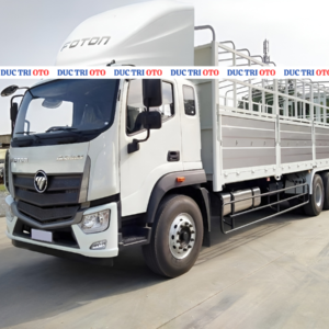 foton auman